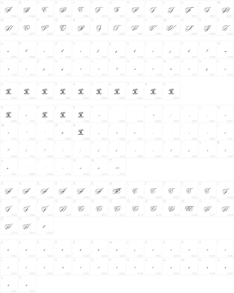 Beaked Tyrant Character Map
