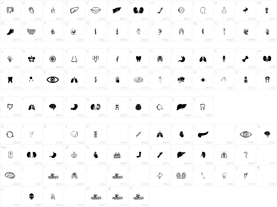 Human Anatomy Character Map
