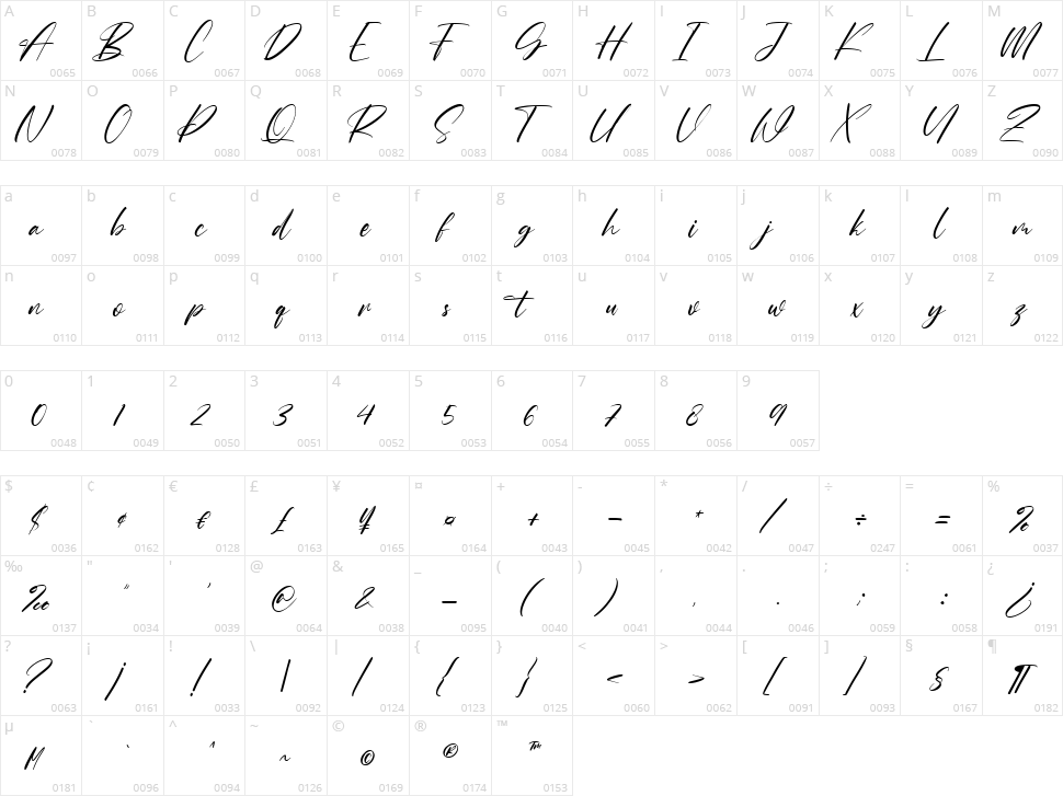 Roche Shirt Character Map