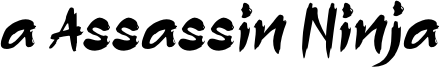aAssassinNinja.otf