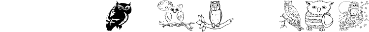 AEZ Owls for Traci Font