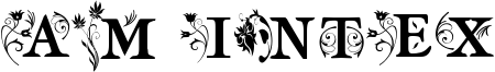 AM Intex Font