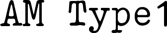 AM Type1 Font