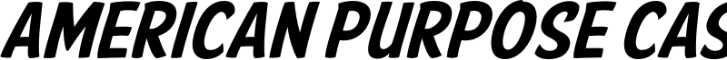 American Purpose Casual 02.otf