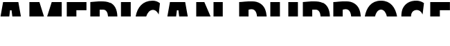 American Purpose STRIPE 1 Normal Italic.otf