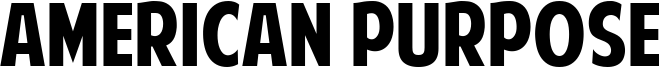 American Purpose Font