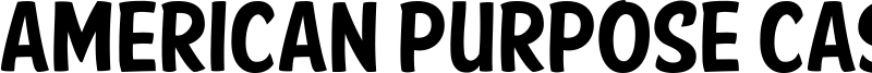 American Purpose Casual Font
