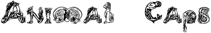 Animal Caps Font