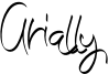 Arially Font
