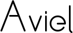 Aviel Bold.ttf