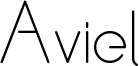 Aviel Regular.ttf