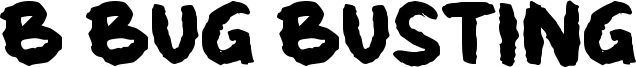 b Bug Busting Font