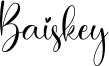 Baiskey Font