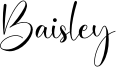Baisley.otf