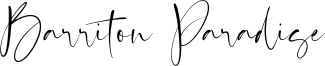 Barriton Paradise Font
