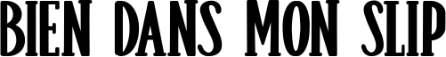 Bien Dans Mon Slip Font