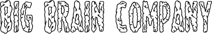 Big Brain Company Font