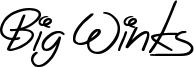 Big Winks Font