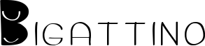 Bigattino Font