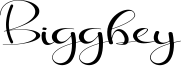 Biggbey.ttf