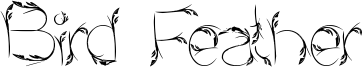 Bird Feather Font