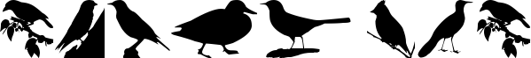 Birds TFB Font