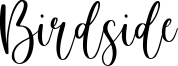 Birdside Font