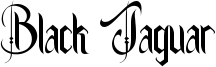 Black Jaguar Font