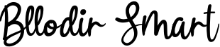 Bllodir Smart Font
