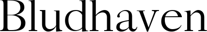 Bludhaven Font