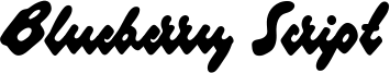 Blueberry Script Font