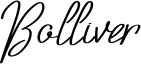 Bolliver Font