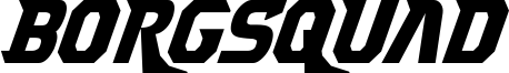 borgsquadcondital.ttf