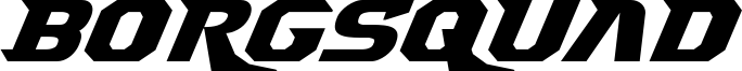 borgsquadexpandital.ttf