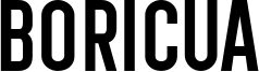 Boricua.ttf