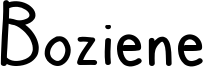Boziene.ttf