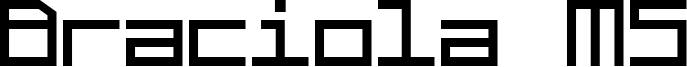 Braciola MS Font