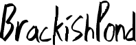 BrackishPond Font