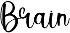 Brain Font