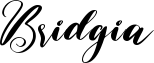 Bridgia Font