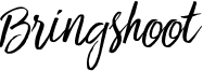 Bringshoot.otf
