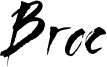 broc-webfont.ttf