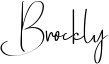 Brockly Font