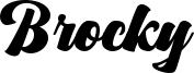 Brocky Font