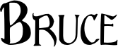 Bruce_Standard_Text.otf