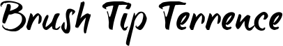 Brush Tip Terrence Font