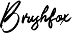 Brushfox Font