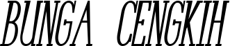 BungaCengkihBoldItalic.ttf