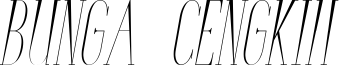BungaCengkihItalic.ttf