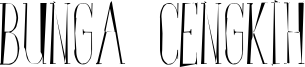 BungaCengkihRandom.ttf